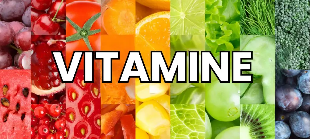 Vitamine: Funzioni, Benefici, Carenze e Fonti Alimentari